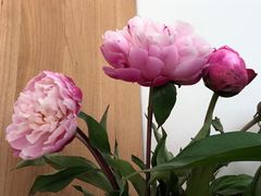 -新荟城购物中心-停车场