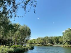 -中关村生命科学园