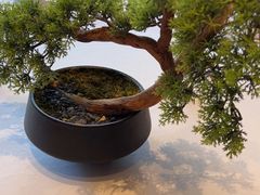 -百富源·海鲜辽菜(和平北大街店)