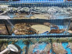 -船家渔(徐州北路店)