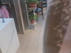 -清真·金城老碗牛肉面揪面片(兰州总店)