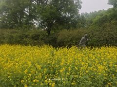-中国农业博物馆