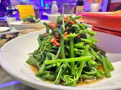 -巴特餐饮6加1音乐餐吧·新疆菜