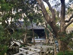 -复旦大学附属华山医院(总院)