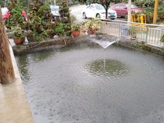 -源泉冷水鱼庄(小鱼洞店)