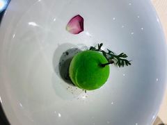 -诺莱仕游艇会