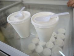 椰子雪糕-洪馨椰子