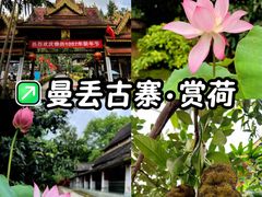 -曼丢傣家古寨