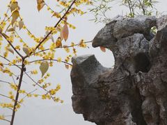 -拙政园
