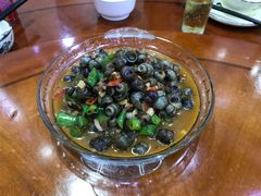 -全乐鱼馆·淳牌有机鱼直营店