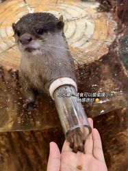 -Zoolung Zoolung动物主题公园(海信广场店)