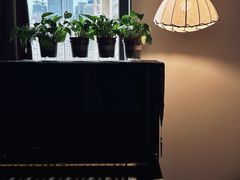-TEMPO 音乐(五角场店)