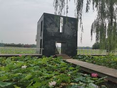 -石家庄市植物园