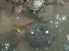 -祥源·阜阳生态乐园