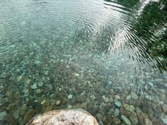 -广东花都湖国家湿地公园