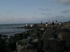 -白沙门生态公园
