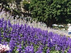 -龙环葡韵住宅式博物馆