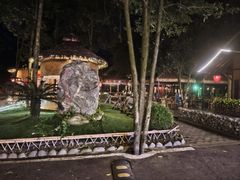 -土灶人家柴火鸡(都江堰店)