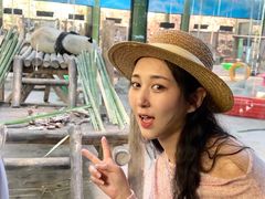 -栾川竹海野生动物园