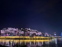 -中国宜宾·长江地标广场