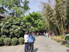 -房湖公园