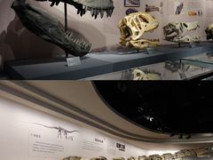 -自贡恐龙博物馆