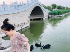 -天津东丽湖风景区