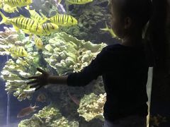 -南昌海洋公园
