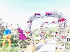 -东平国家森林公园
