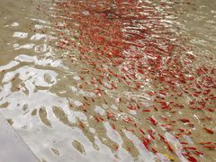-开元溶洞