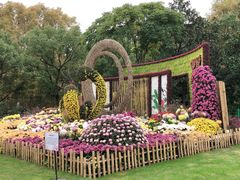 -上海共青森林公园