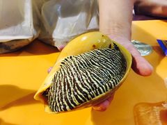 -班赞海鲜市场