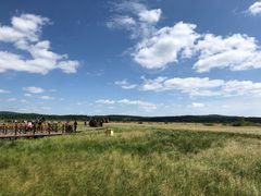 -塞罕坝国家级自然保护区