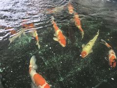 -伟记牛蹄(道滘店)