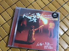 -独音唱片 Indie Music