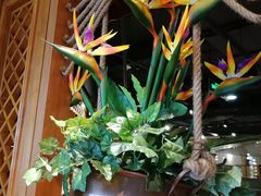 -云海肴·汽锅鸡·云南菜(天山百盛优客店)