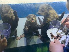 -华夏文旅海洋公园