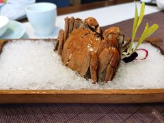 -荷风细雨·中国茶宴(碧云店)