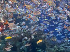 -成都浩海立方海洋公园