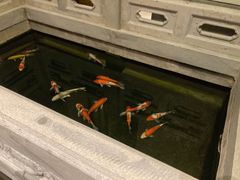 -鲤院·新中式美学·庭院餐厅(夫子庙店)