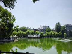 -莲湖公园