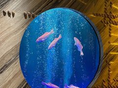 -莉莉海堂HAITANG·烤鸭(国贸商城店)