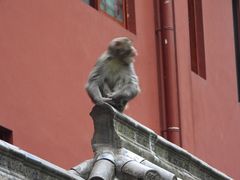 -黔灵山公园
