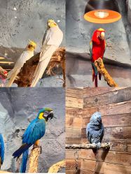 -Zoolung Zoolung动物主题公园(海信广场店)