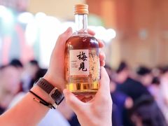-上海浦东康桥绿地假日酒店