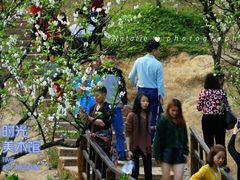 -南国桃园旅游度假区