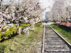 -新天地活力PARK