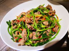 香菜炒牛肉-壹盏灯(惠农店)