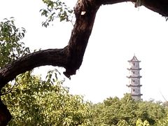 -江心屿景区