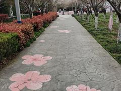 -高东镇樱花园